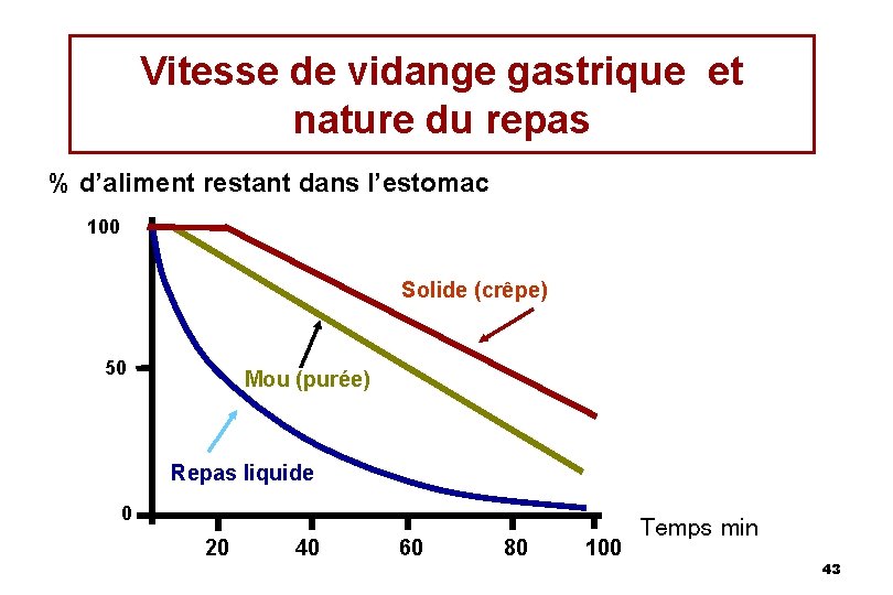 Vitesse de vidange gastrique et nature du repas % d’aliment restant dans l’estomac 100