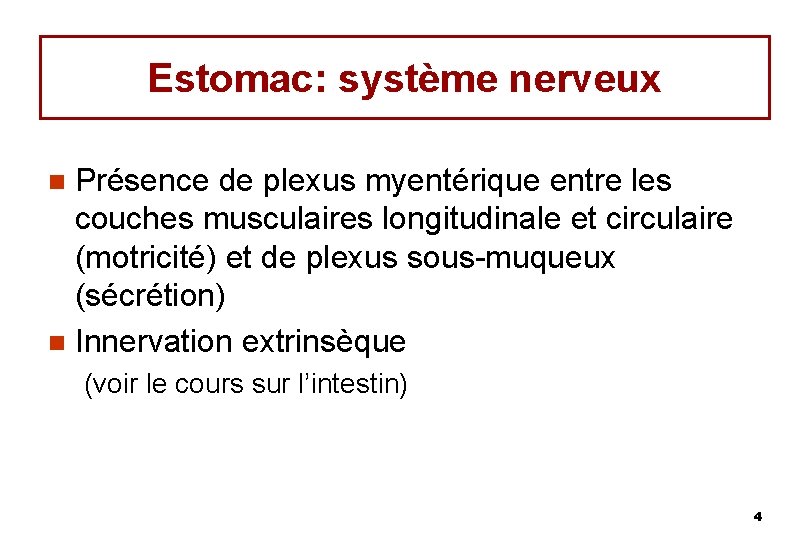 Estomac: système nerveux Présence de plexus myentérique entre les couches musculaires longitudinale et circulaire
