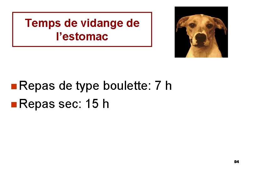 Temps de vidange de l’estomac n Repas de type boulette: 7 h n Repas