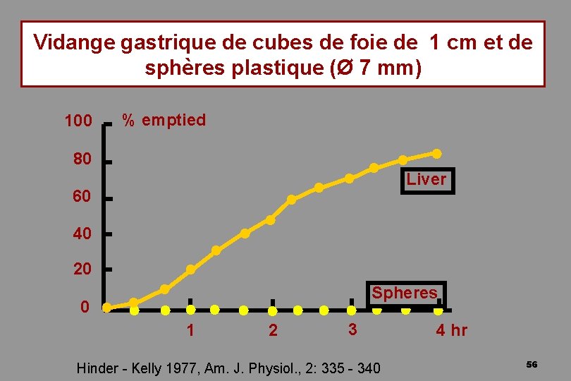 Vidange gastrique de cubes de foie de 1 cm et de sphères plastique (Ø
