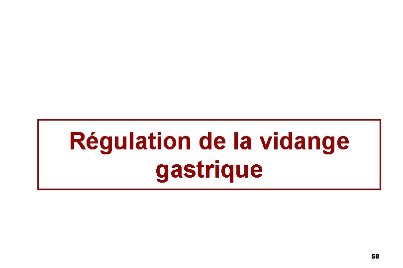 Régulation de la vidange gastrique 58 