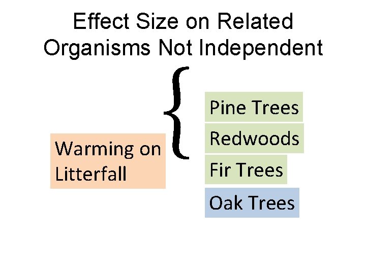 Effect Size on Related Organisms Not Independent { Warming on Litterfall Pine Trees Redwoods