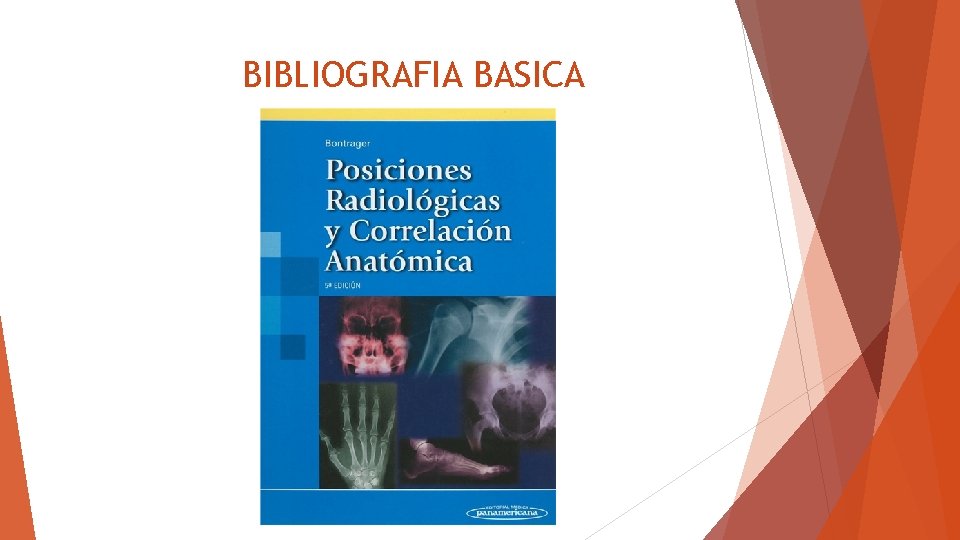 BIBLIOGRAFIA BASICA 