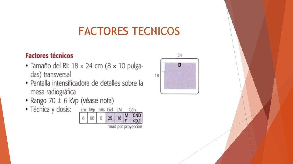 FACTORES TECNICOS 