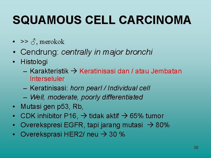 SQUAMOUS CELL CARCINOMA • >> ♂, merokok • Cendrung: centrally in major bronchi •