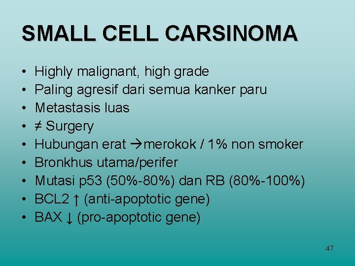 SMALL CELL CARSINOMA • • • Highly malignant, high grade Paling agresif dari semua