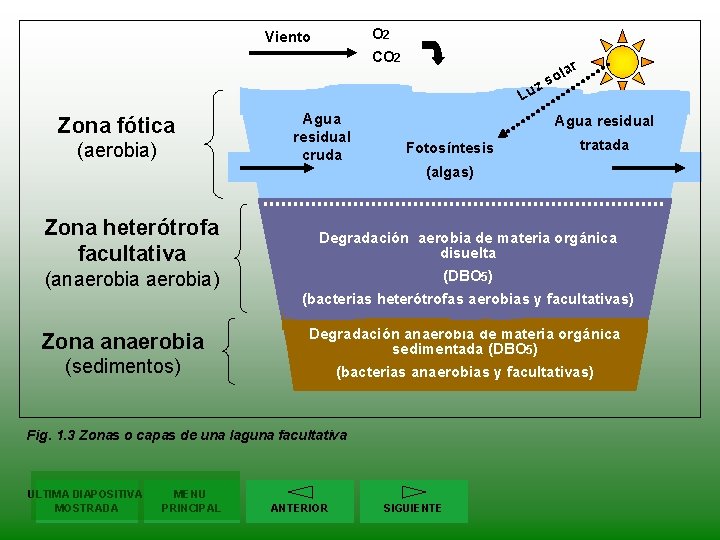 O 2 Viento CO 2 r z Lu Zona fótica (aerobia) Agua residual cruda