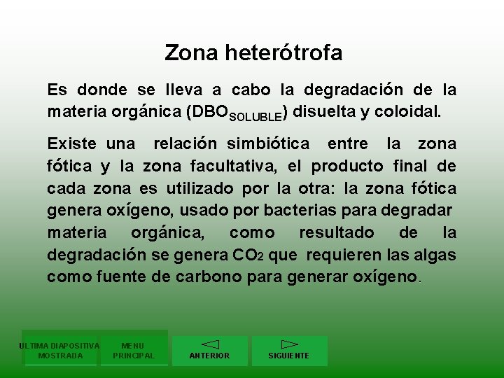 Zona heterótrofa Es donde se lleva a cabo la degradación de la materia orgánica