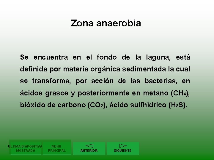 Zona anaerobia Se encuentra en el fondo de la laguna, está definida por materia