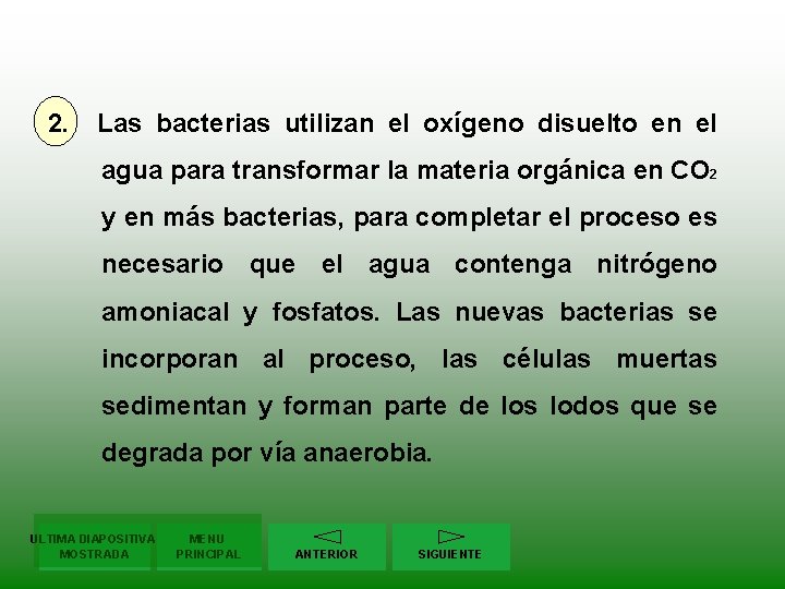 2. Las bacterias utilizan el oxígeno disuelto en el agua para transformar la materia