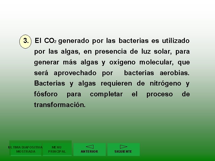 3. El CO 2 generado por las bacterias es utilizado por las algas, en