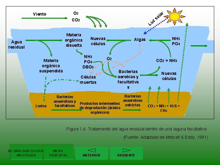 r O 2 Viento CO 2 z Lu Materia orgánica disuelta Agua residual Nuevas