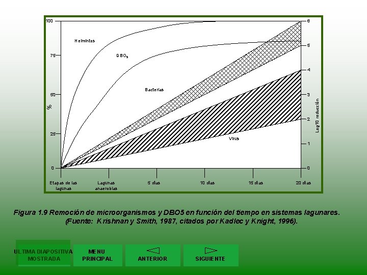 100 6 Helmintos 75 5 DBO 5 4 Bacterias 3 % 2 25 Virus