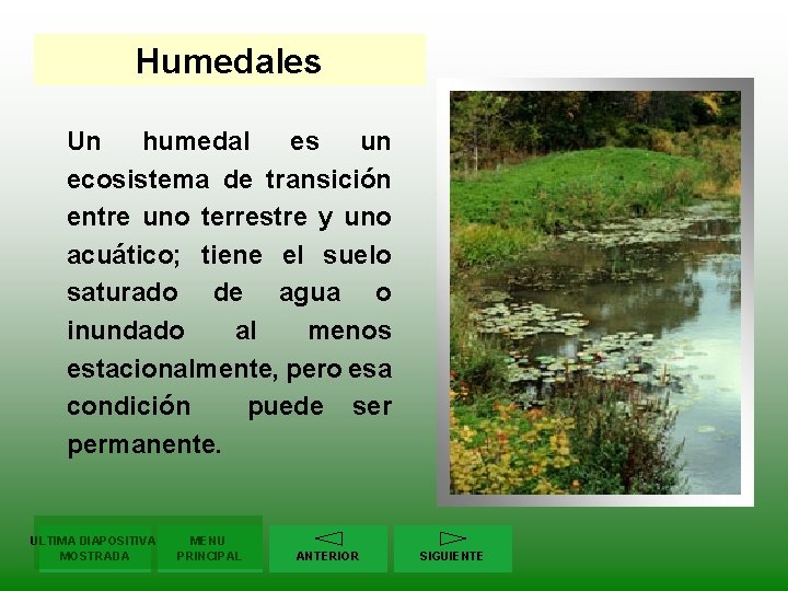 Humedales Un humedal es un ecosistema de transición entre uno terrestre y uno acuático;
