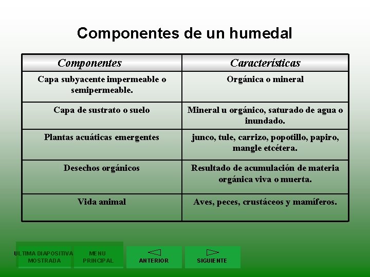 Componentes de un humedal Componentes Características Capa subyacente impermeable o semipermeable. Orgánica o mineral