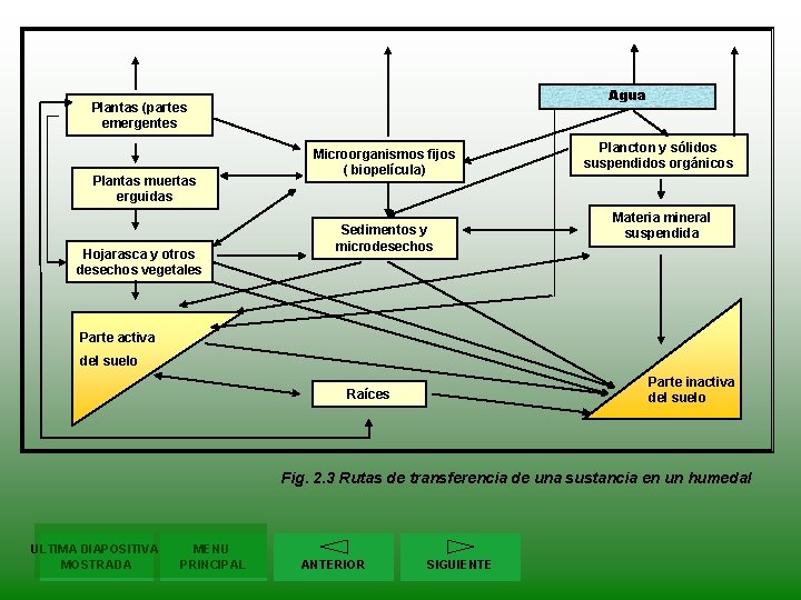 Agua Plantas (partes emergentes Plantas muertas erguidas Hojarasca y otros desechos vegetales Microorganismos fijos