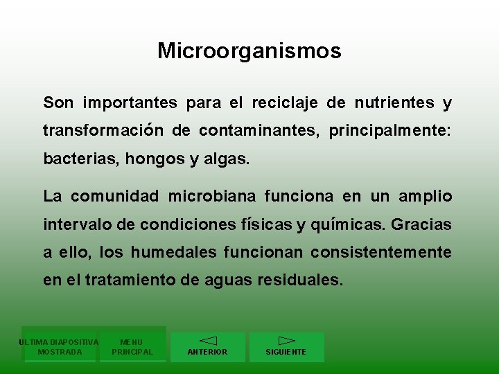 Microorganismos Son importantes para el reciclaje de nutrientes y transformación de contaminantes, principalmente: bacterias,