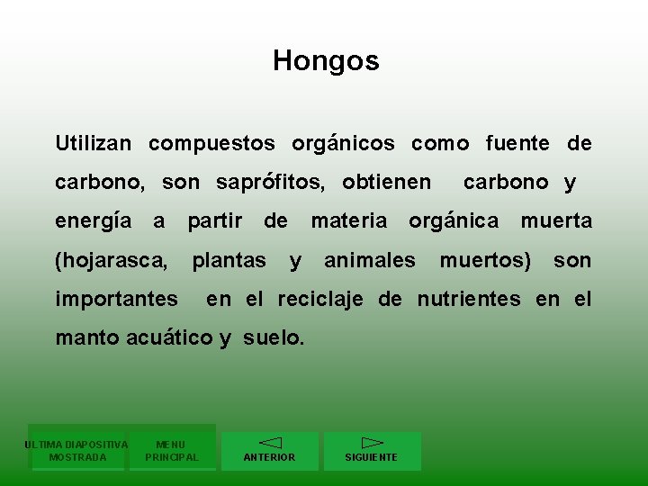 Hongos Utilizan compuestos orgánicos como fuente de carbono, son saprófitos, obtienen carbono y energía