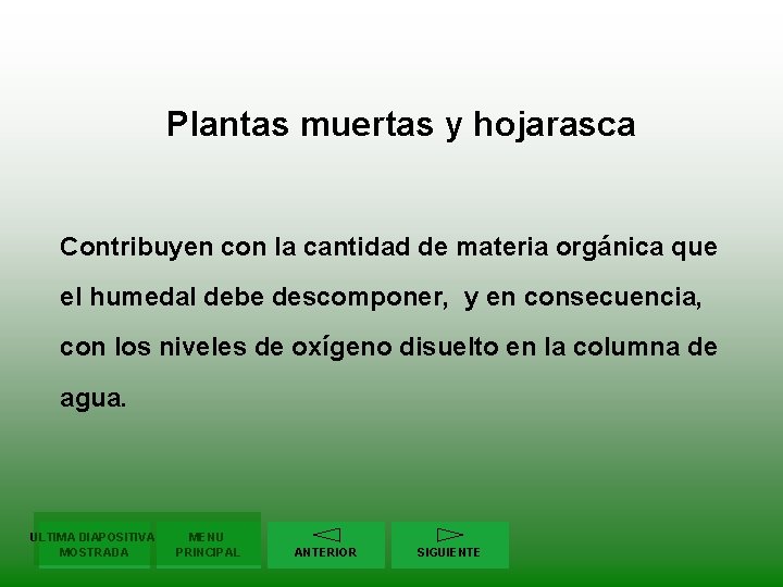 Plantas muertas y hojarasca Contribuyen con la cantidad de materia orgánica que el humedal