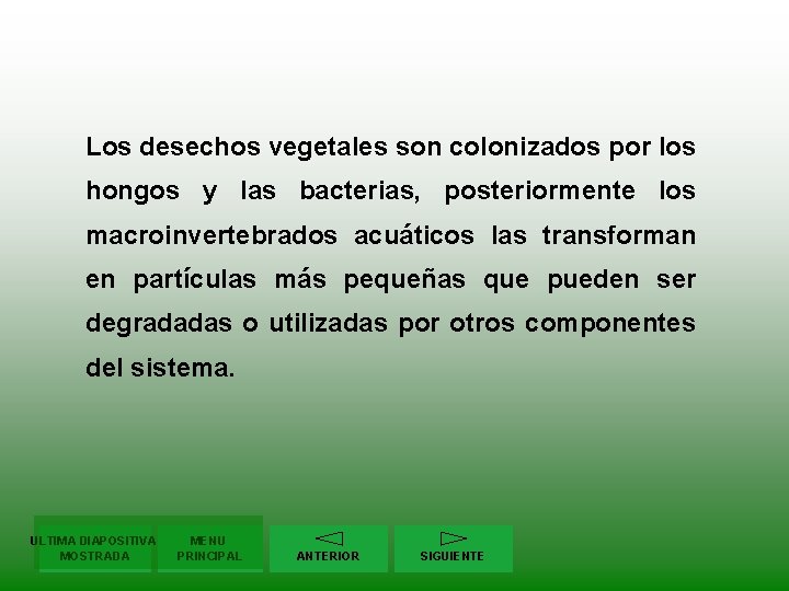 Los desechos vegetales son colonizados por los hongos y las bacterias, posteriormente los macroinvertebrados