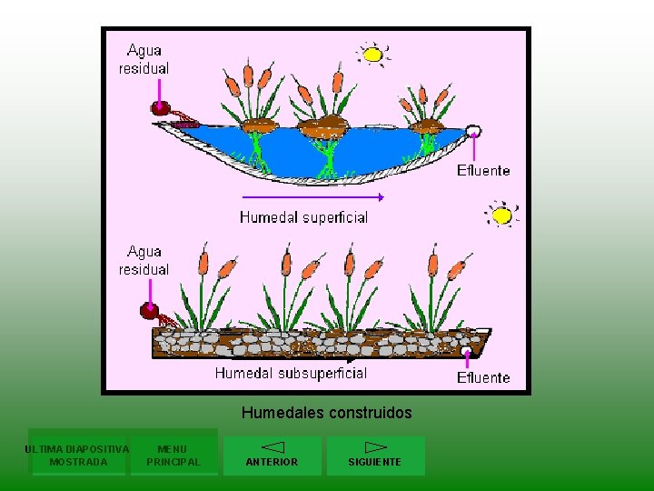 Humedales construidos ULTIMA DIAPOSITIVA MOSTRADA MENU PRINCIPAL ANTERIOR SIGUIENTE 