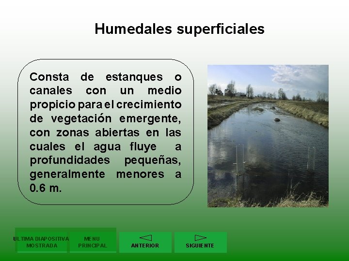 Humedales superficiales Consta de estanques o canales con un medio propicio para el crecimiento