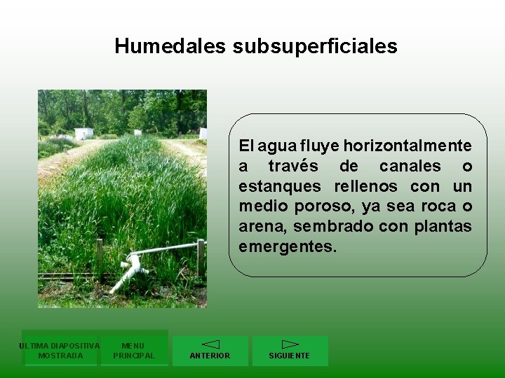 Humedales subsuperficiales El agua fluye horizontalmente a través de canales o estanques rellenos con