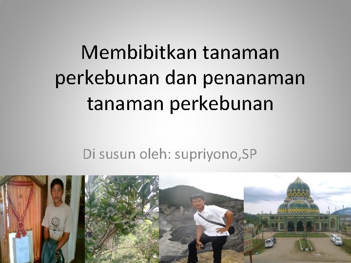 Membibitkan tanaman perkebunan dan penanaman tanaman perkebunan Di susun oleh: supriyono, SP 