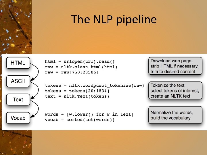 The NLP pipeline 