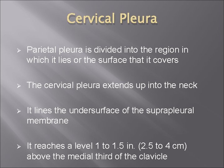 Cervical Pleura Ø Parietal pleura is divided into the region in which it lies