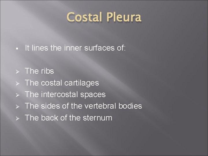 Costal Pleura § It lines the inner surfaces of: Ø The ribs The costal