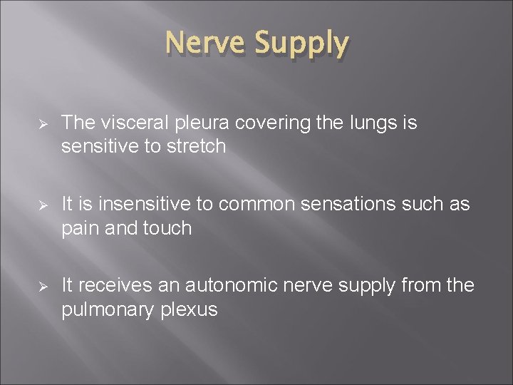 Nerve Supply Ø The visceral pleura covering the lungs is sensitive to stretch Ø