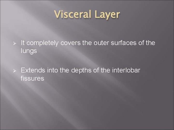 Visceral Layer Ø It completely covers the outer surfaces of the lungs Ø Extends