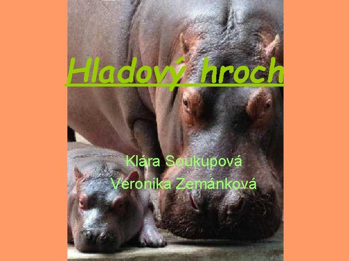 Hladový hroch Klára Soukupová Veronika Zemánková 