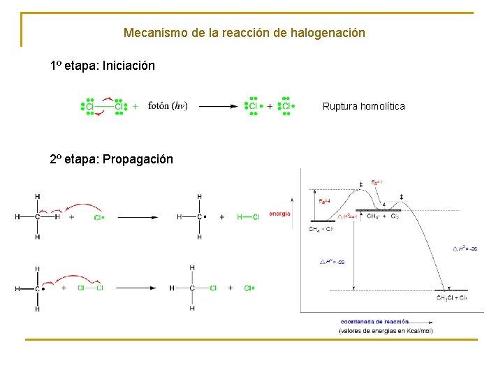 Mecanismo de la reacción de halogenación 1º etapa: Iniciación Ruptura homolítica 2º etapa: Propagación