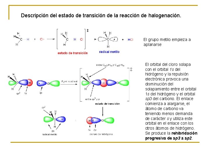 Descripción del estado de transición de la reacción de halogenación. El grupo metilo empieza