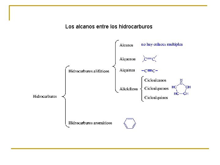 Los alcanos entre los hidrocarburos 