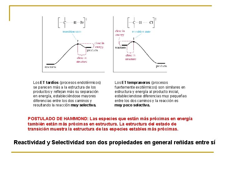 Los ET tardíos (procesos endotérmicos) se parecen más a la estructura de los productos
