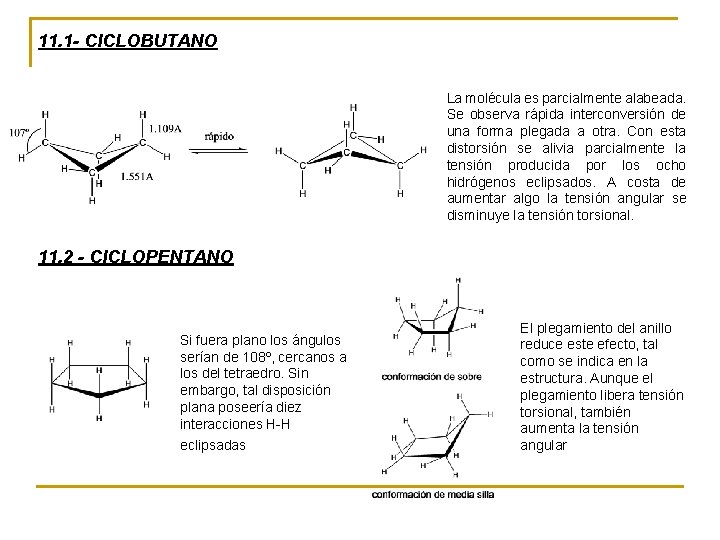 11. 1 - CICLOBUTANO La molécula es parcialmente alabeada. Se observa rápida interconversión de