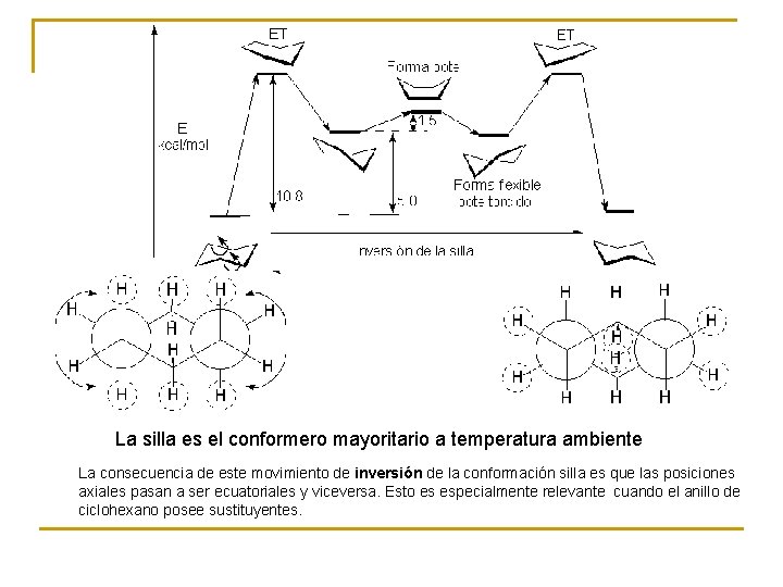 La silla es el conformero mayoritario a temperatura ambiente La consecuencia de este movimiento