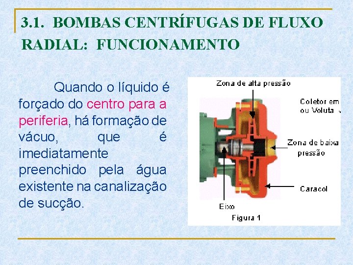 3. 1. BOMBAS CENTRÍFUGAS DE FLUXO RADIAL: FUNCIONAMENTO Quando o líquido é forçado do