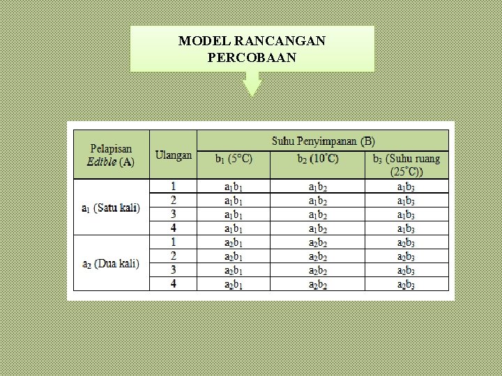 MODEL RANCANGAN PERCOBAAN 