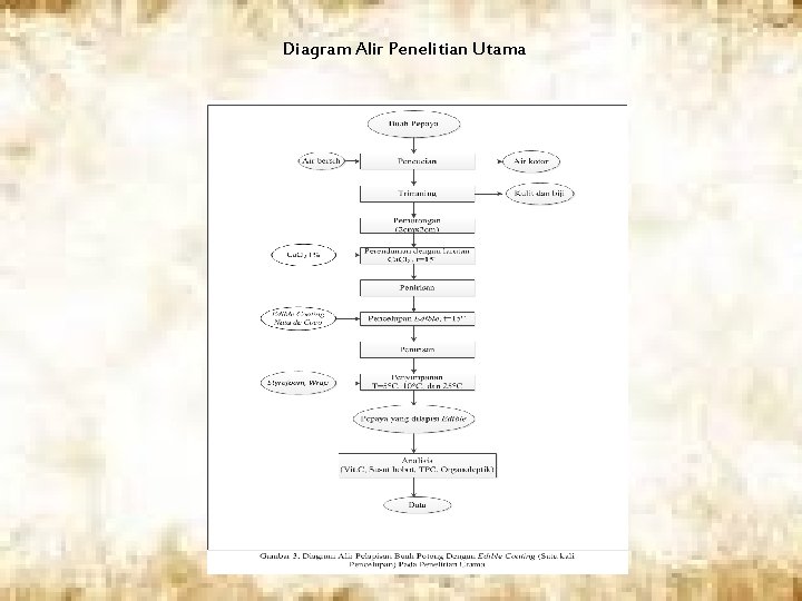 Diagram Alir Penelitian Utama 