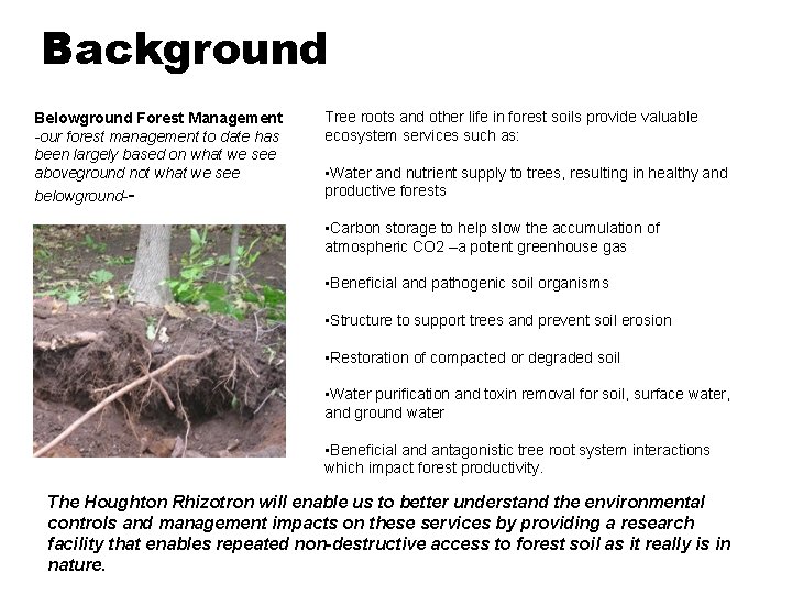 Background Belowground Forest Management -our forest management to date has been largely based on