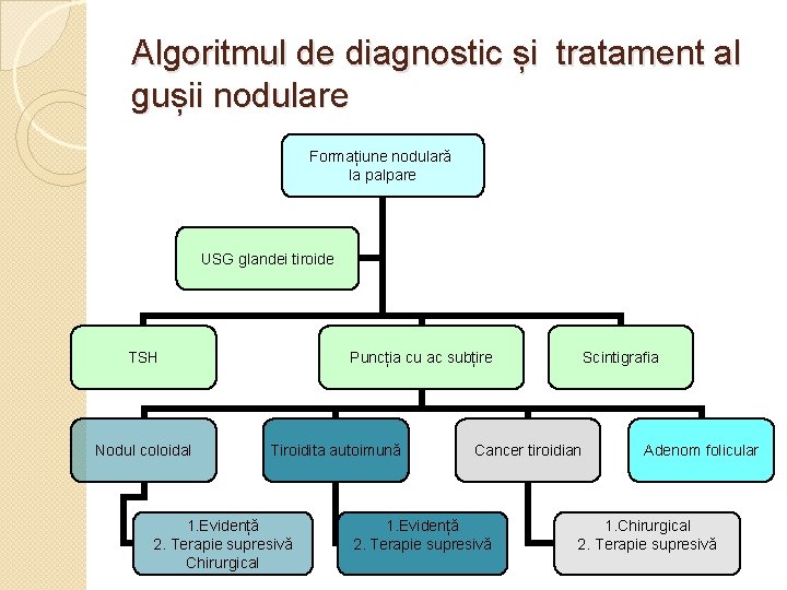 Algoritmul de diagnostic și tratament al gușii nodulare Formațiune nodulară la palpare USG glandei