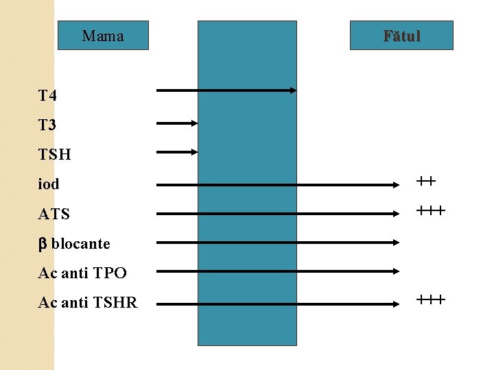 Mama Fătul T 4 T 3 TSH iod ++ ATS +++ b blocante Ac