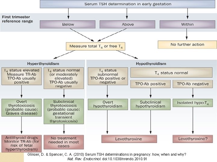 Glinoer, D. & Spencer, C. A. (2010) Serum TSH determinations in pregnancy: how, when