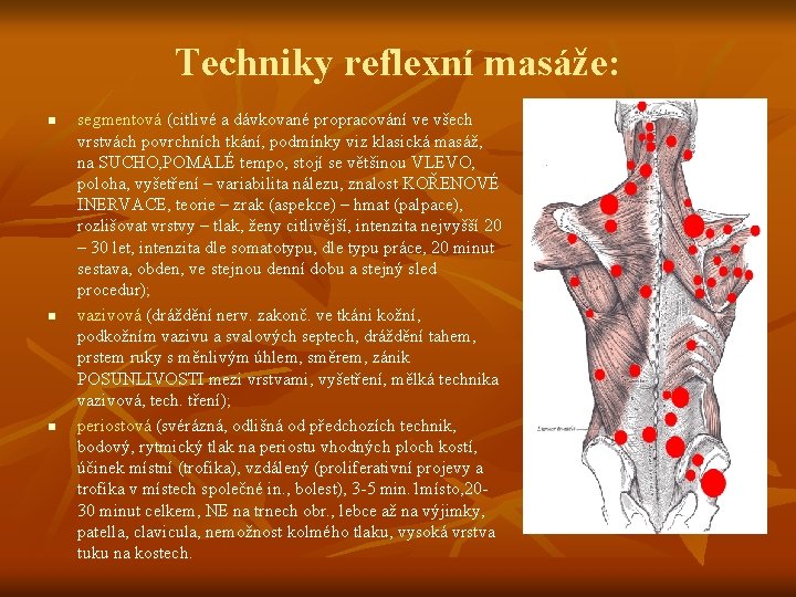 Techniky reflexní masáže: n n n segmentová (citlivé a dávkované propracování ve všech vrstvách