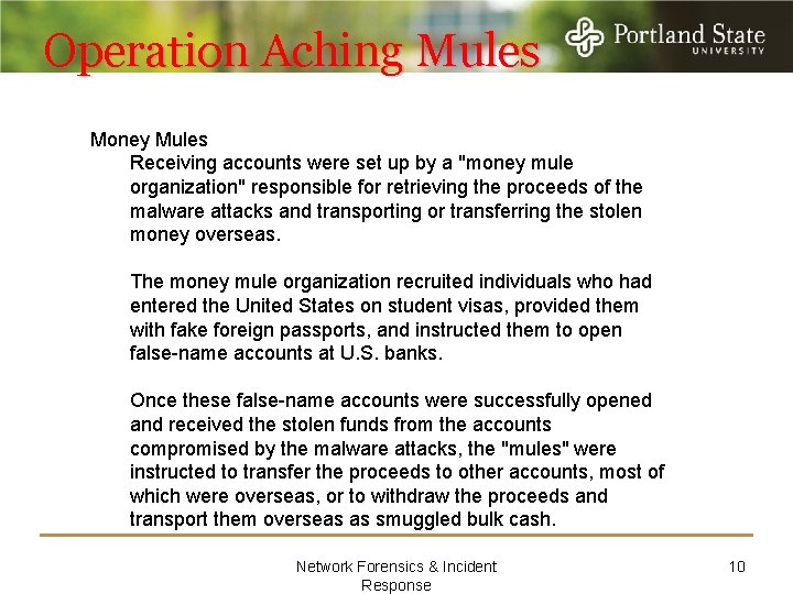 Operation Aching Mules Money Mules Receiving accounts were set up by a "money mule