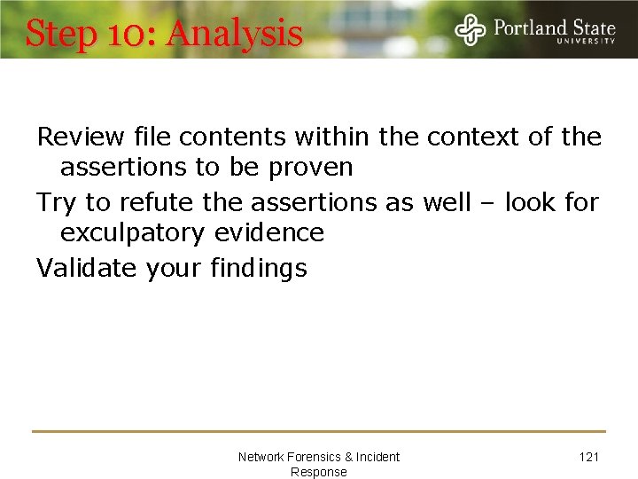 Step 10: Analysis Review file contents within the context of the assertions to be